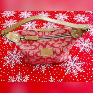 Daughters coach bag /pink